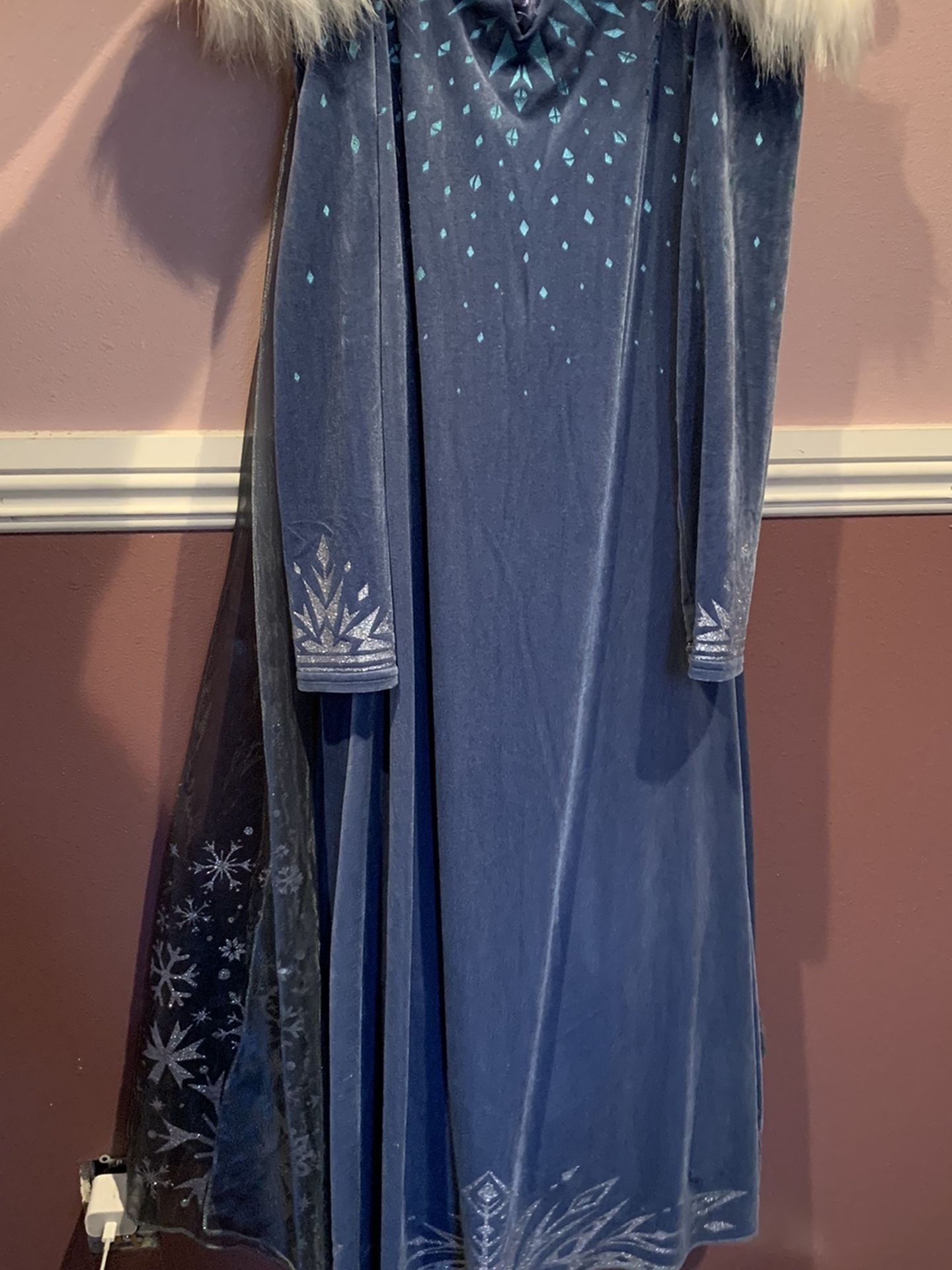 Elsa Halloween Costume