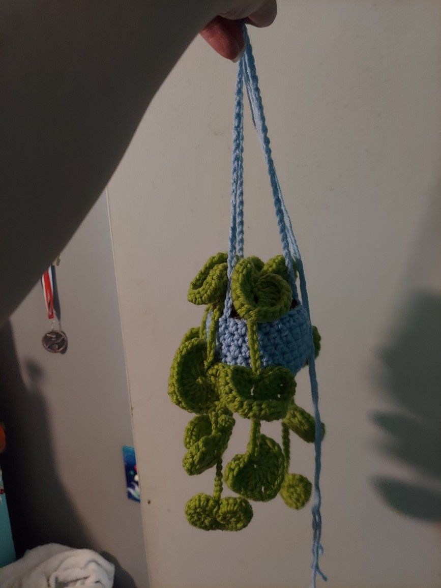 Hanging Plants