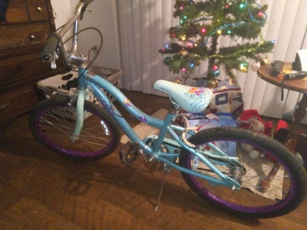 Schwinn Girls Like