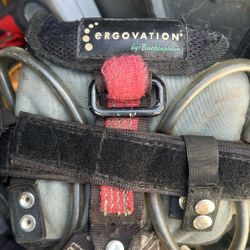 Harness Ergovation