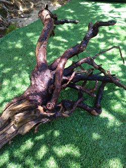 Driftwood For Aquariums Terrariums Decor