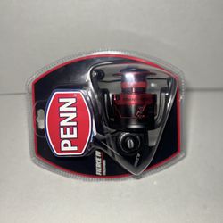 Penn Fierce IV 4000 Fishing Reel
