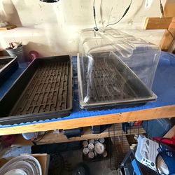Double thick seedling trays with 1 tall dome