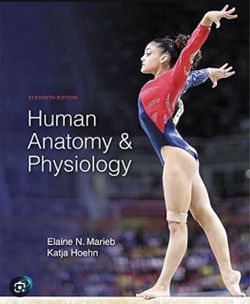 Human anatomy & physiology