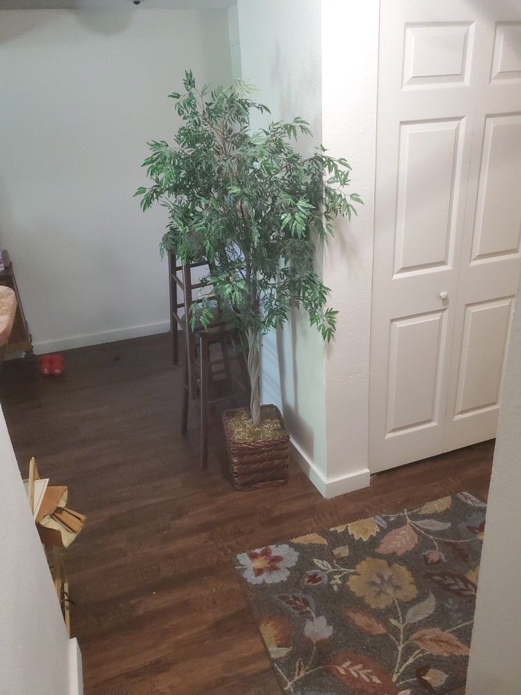 Fake Plant