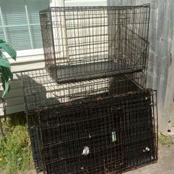 Two Medium Cages
