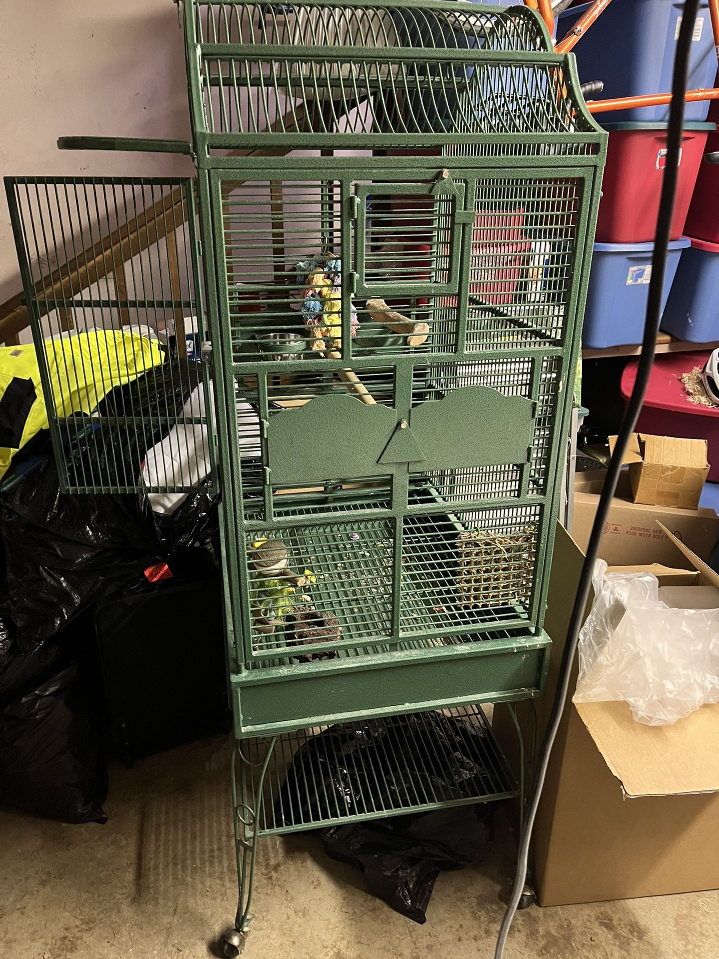 Parrot/bird Cage