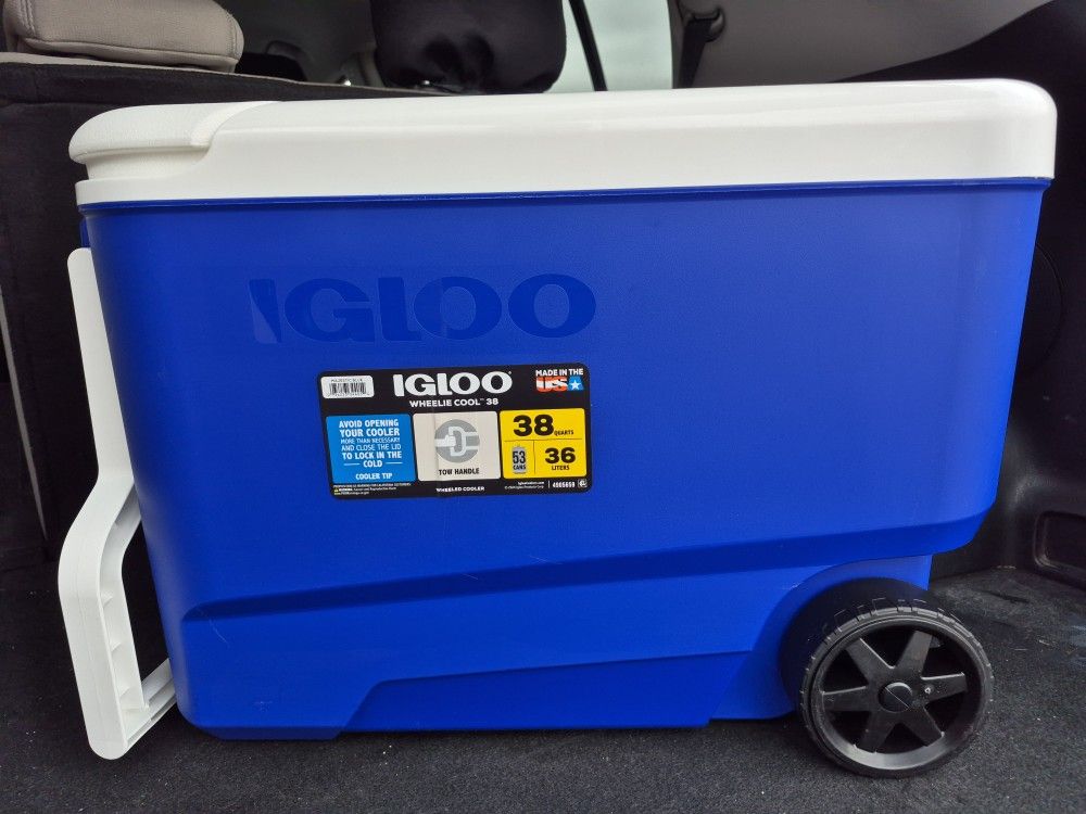 Igloo 38 Qt Cooler
