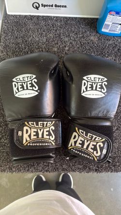 FREE BOXING GLOVES