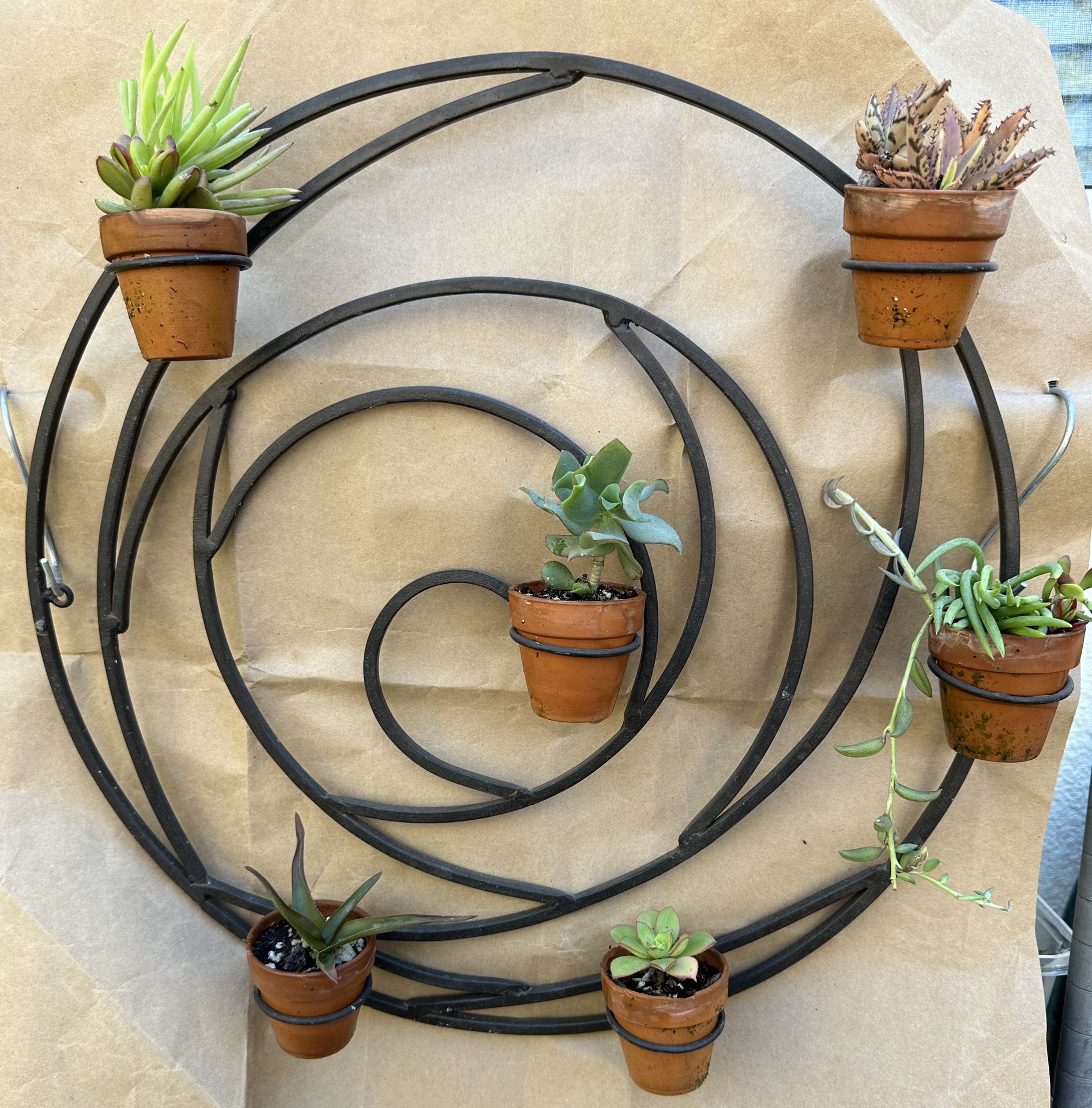Hanging Metal Holder With Plants