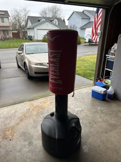 Everlast Punching Bag