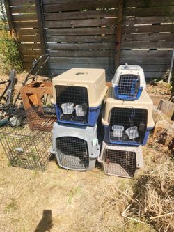6 pet animal cage kennel crate large medium small carrier $25 each

Large one has broken latch.  Can maybe be fixed or use a clip.

$25 each, $45 for