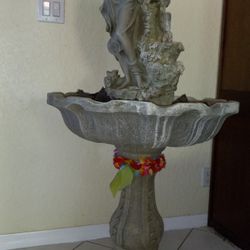 Water Fountain  Indoor