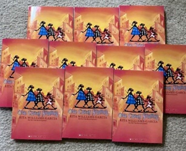 One Crazy Summer  9 Books New