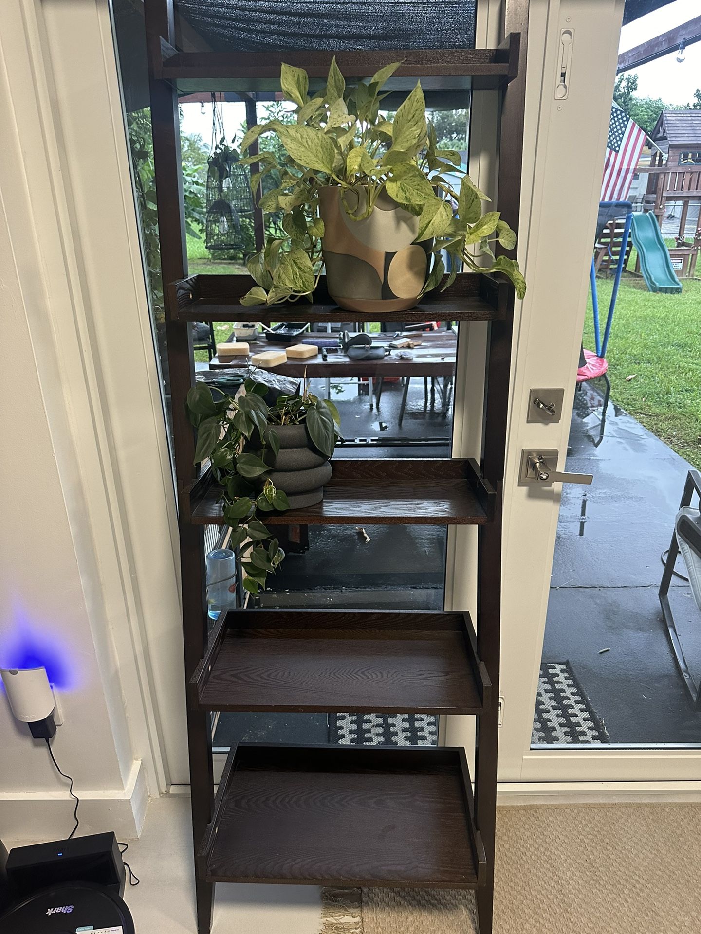 Ladder Shelf