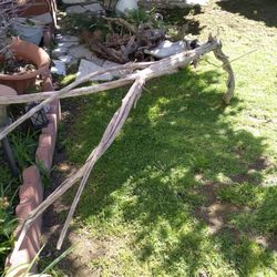 Genuine Driftwood For Aquariums Terrariums Decor 