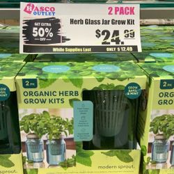Herb Glass Jar Grow Kit (basil & mint)
