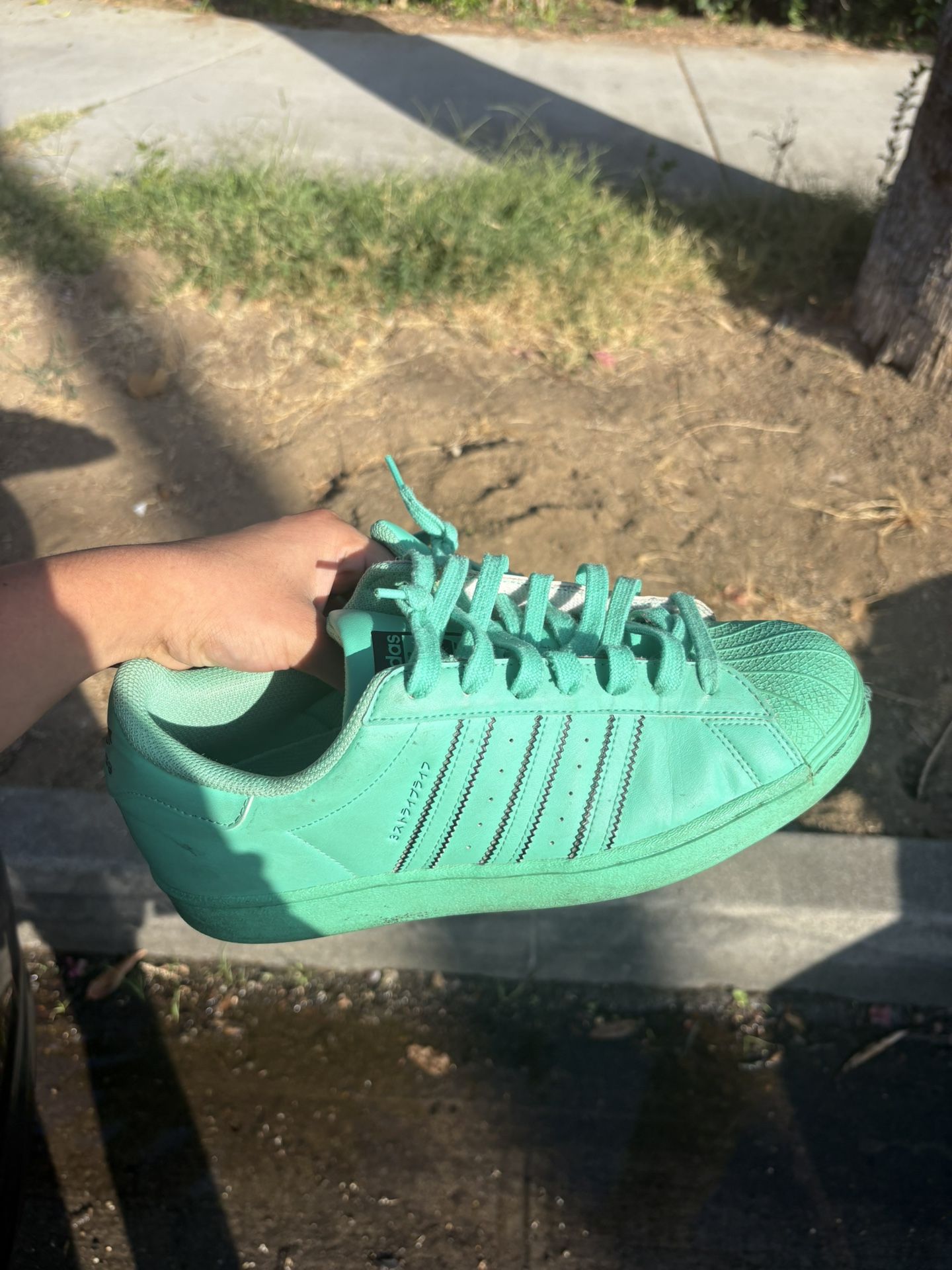 Adidas Superstar