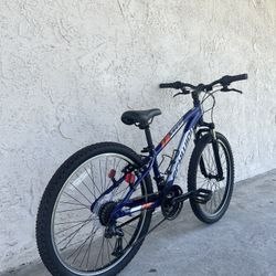 24” Schwinn Bike