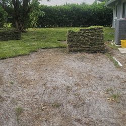Bermuda Sod
