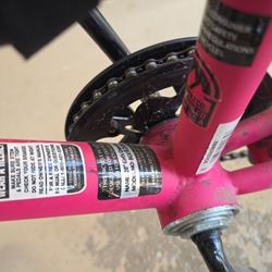 Girls Bicycle 20"