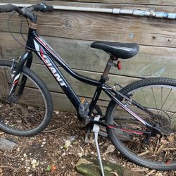 Giant Kids Bike 
