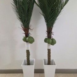 *** NEW LOW PRICE *** PAIR of 7ft Faux Coconut Palms In 24in White Square Resin Planters @ Lasting Creations
