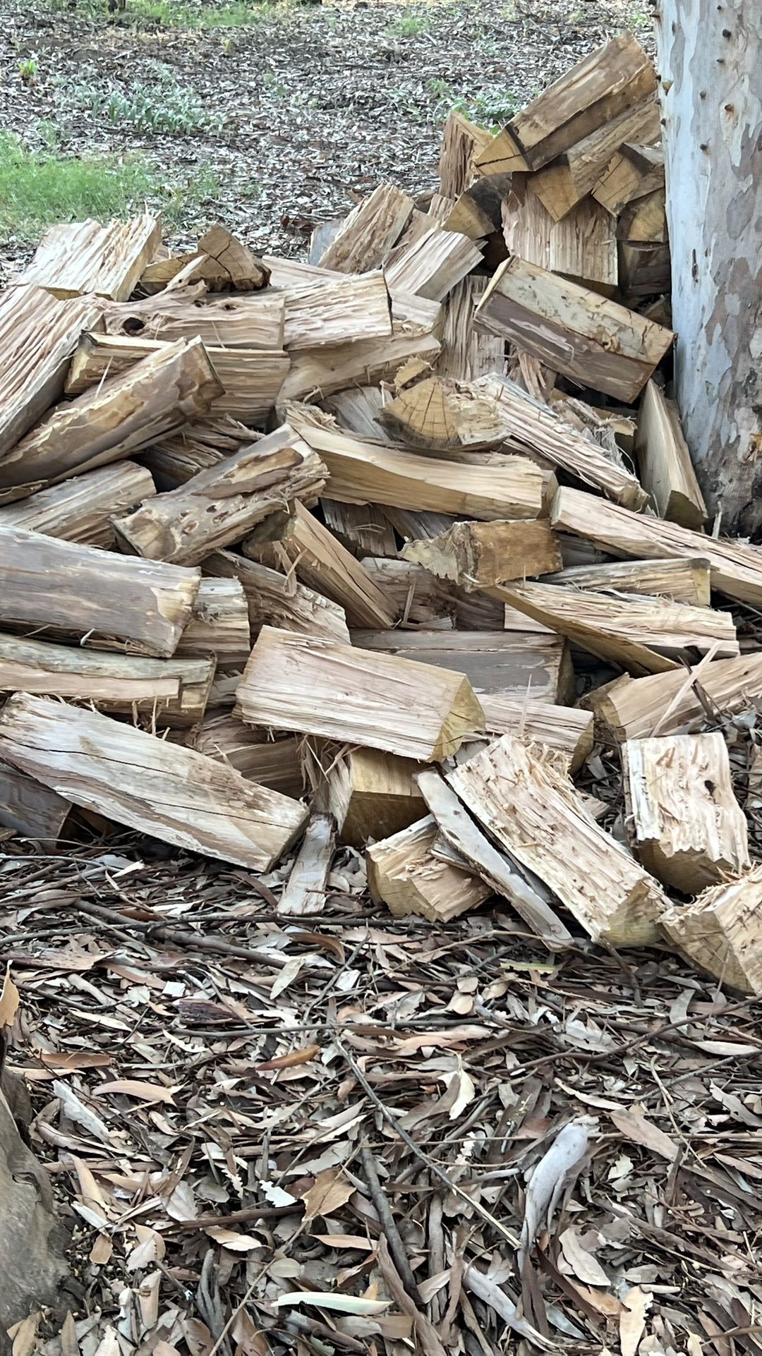 Split Firewood Eucalyptus Euk