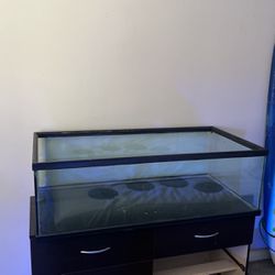 reptile fish tank aquarium terrarium vivarium