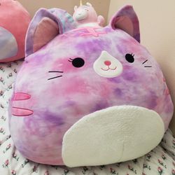 Giant  Pink Squishmellow