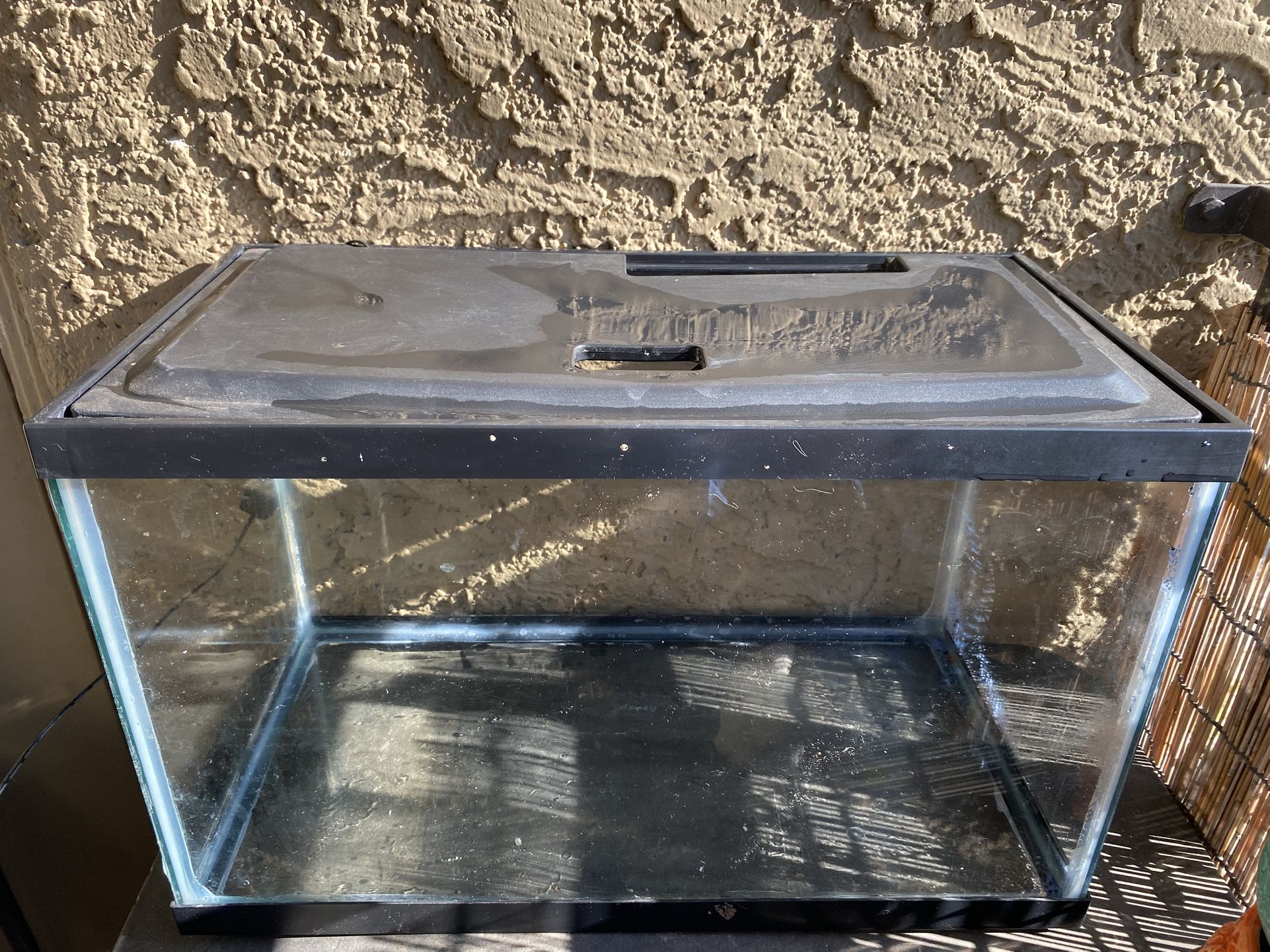10 Gallon Fish Tank