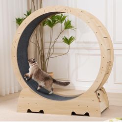 EXQ Home Cat Exercise Wheel for Indoor Cats, Diameter 39.4" Running Wheel with Locking Mechanism, Sturdy Noiseless Treadmill Roller with Carpeted Runw