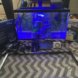 10 Gallon With Coralife Light And A Ton Of Extras