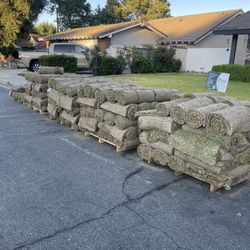 //—SOD/—INSTALL//