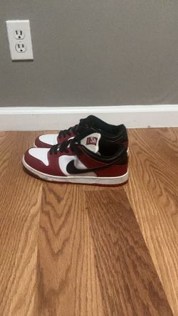Nike Sb dunk low pro j-pack Chicago