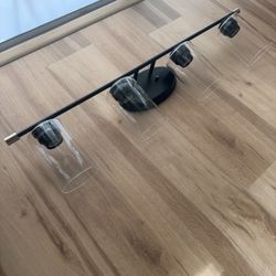 Black Matte 4 Bulb Light