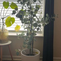 16 In White Ceramic Planter 