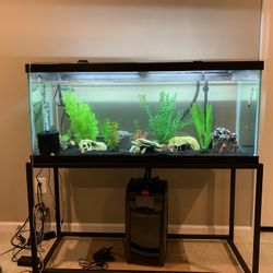 75 Gallon Aquarium, Stand, And Decor. 