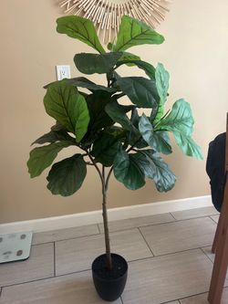 Fake artificial fig tree