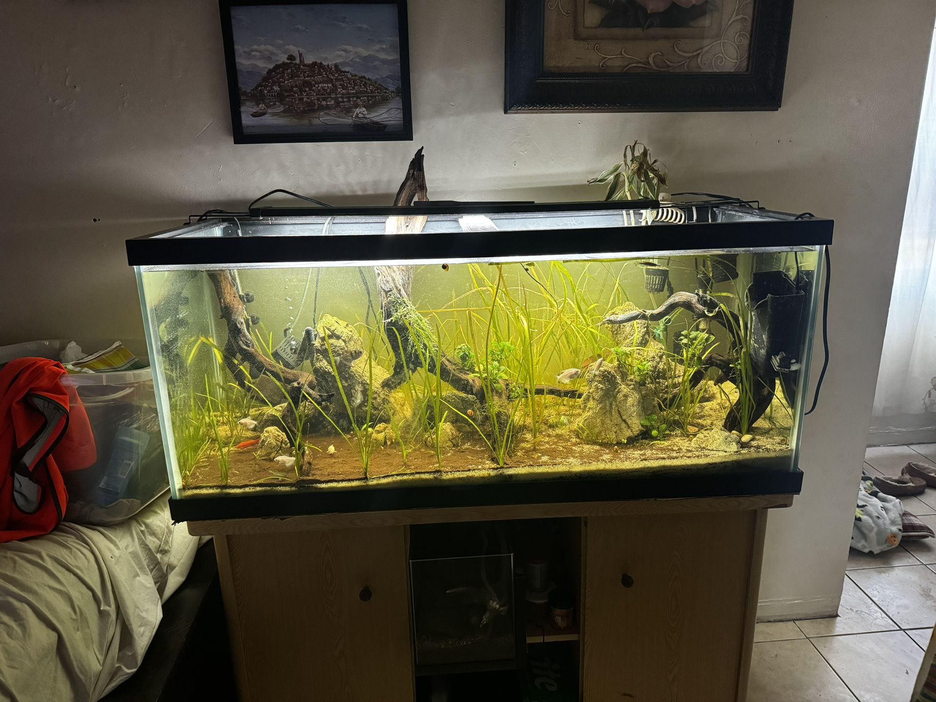 75 Gallon Fish Tank Aquarium Stand 