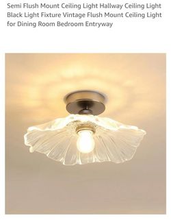 Clear Ceiling Light 