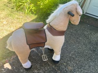Pony rider horse