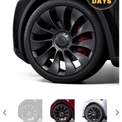 Tesla Rim Covers From Teslaunch