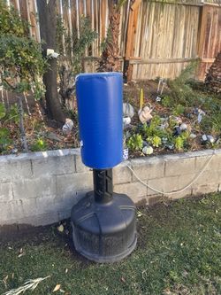 Heavy Duty punching Bag For 50 Dollars