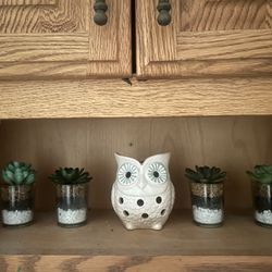 Owl Tea light Holder And Faux Succulent Plants (4)