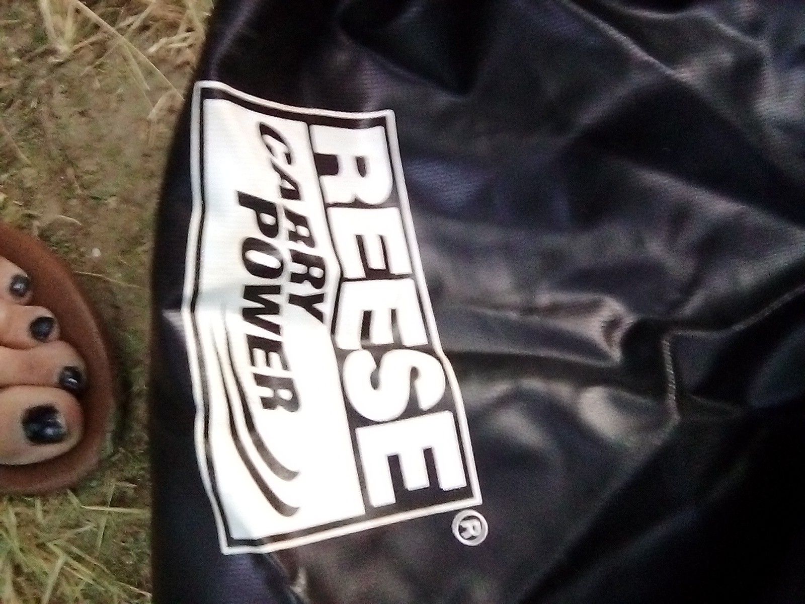 Reese carry power roof bag for automobiles