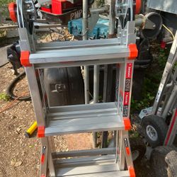 Little Giant Ladder 