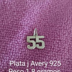 Pendiente #55 Plata  925