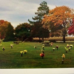 Burial Plots