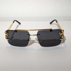 Man's Sun Glasses